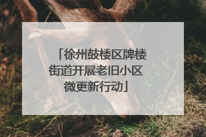 徐州鼓楼区牌楼街道开展老旧小区微更新行动