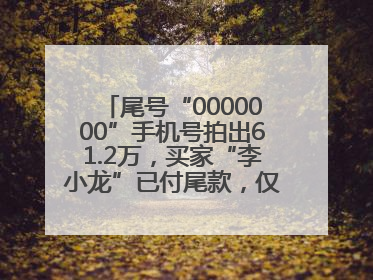 尾号“0000000”手机号拍出61.2万，买家“李小龙”已付尾款，仅享有使用权