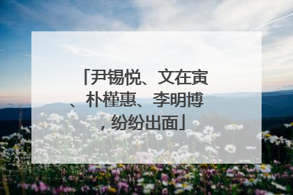 尹锡悦、文在寅、朴槿惠、李明博，纷纷出面