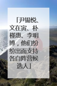 尹锡悦、文在寅、朴槿惠、李明博，他们纷纷出面支持各自阵营候选人