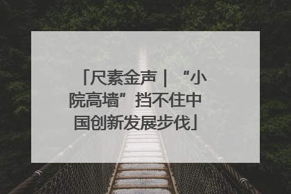 尺素金声｜“小院高墙”挡不住中国创新发展步伐