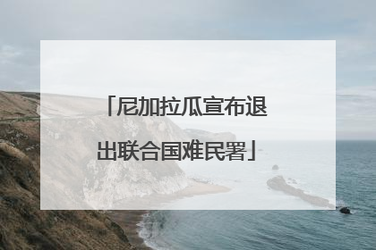 尼加拉瓜宣布退出联合国难民署