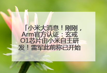 小米大消息！刚刚，Arm官方认证：玄戒O1芯片由小米自主研发！雷军此前称已开始大规模量产