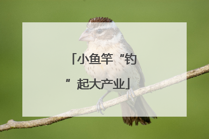 小鱼竿“钓”起大产业