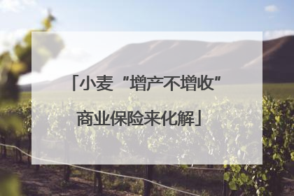 小麦“增产不增收” 商业保险来化解