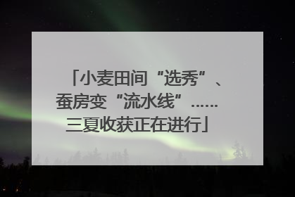 小麦田间“选秀”、蚕房变“流水线”……三夏收获正在进行