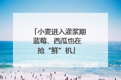 小麦进入灌浆期 蓝莓、西瓜也在抢“鲜”机