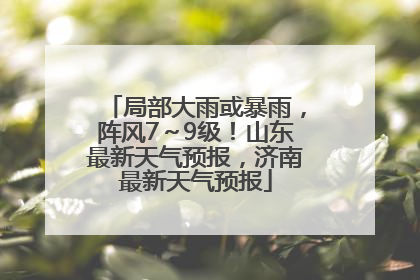 局部大雨或暴雨，阵风7～9级！山东最新天气预报，济南最新天气预报