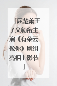 屈楚萧王子文领衔主演《有朵云像你》剧组亮相上影节