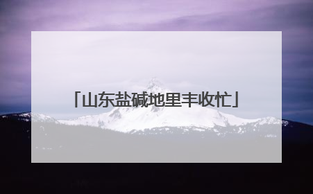 山东盐碱地里丰收忙