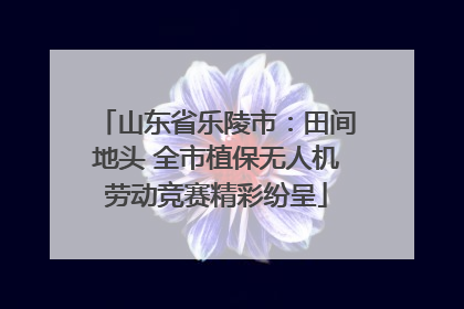 山东省乐陵市：田间地头 全市植保无人机劳动竞赛精彩纷呈