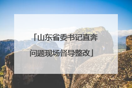 山东省委书记直奔问题现场督导整改