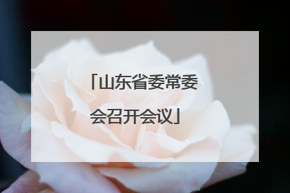 山东省委常委会召开会议