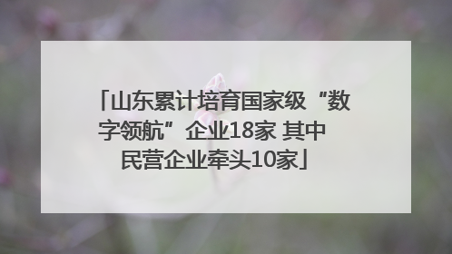 山东累计培育国家级“数字领航”企业18家 其中民营企业牵头10家