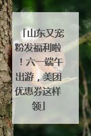 山东又宠粉发福利啦！六一端午出游，美团优惠券这样领