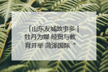 山东友城故事多｜牡丹为媒 经贸与教育并举 菏泽国际“朋友圈”扩容升级