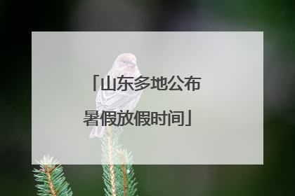 山东多地公布暑假放假时间