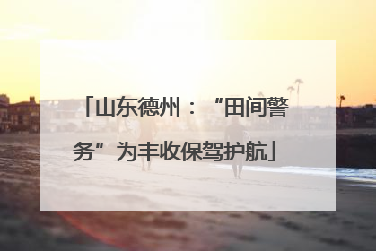 山东德州：“田间警务”为丰收保驾护航