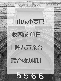 山东小麦已收四成 单日上阵八万余台联合收割机