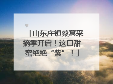 山东庄镇桑葚采摘季开启！这口甜蜜绝绝“紫”！