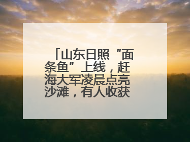 山东日照“面条鱼”上线，赶海大军凌晨点亮沙滩，有人收获满满一桶鱼
