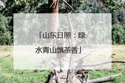 山东日照：绿水青山飘茶香