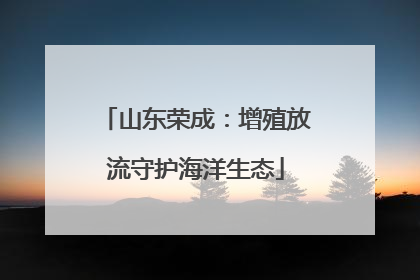 山东荣成：增殖放流守护海洋生态
