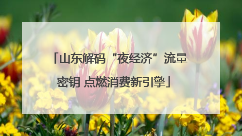 山东解码“夜经济”流量密钥 点燃消费新引擎