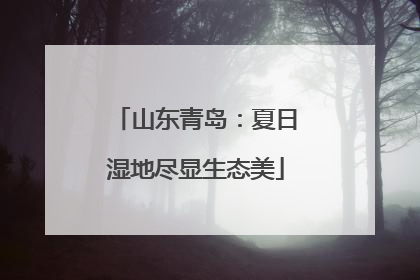 山东青岛：夏日湿地尽显生态美