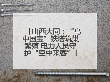 山西大同：“鸟中国宝”铁塔筑巢繁殖 电力人员守护“空中来客”