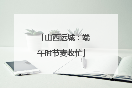 山西运城：端午时节麦收忙