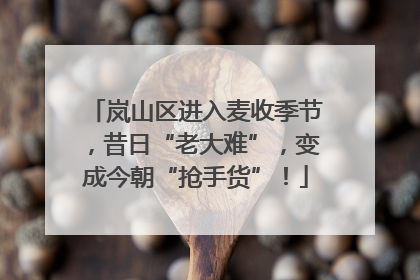 岚山区进入麦收季节，昔日“老大难”，变成今朝“抢手货”！