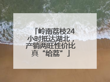 岭南荔枝24小时抵达湖北，产销两旺性价比真“给荔”