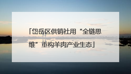 岱岳区供销社用“全链思维”重构羊肉产业生态