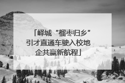 峄城“榴枣归乡”引才直通车驶入校地企共赢新航程