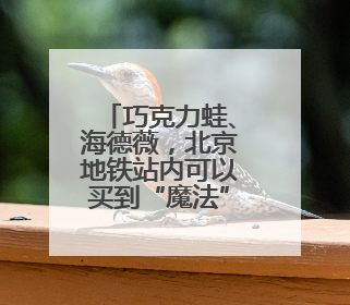 巧克力蛙、海德薇，北京地铁站内可以买到“魔法”交通卡了