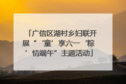 广信区湖村乡妇联开展“‘童’享六一‘粽’情端午”主题活动