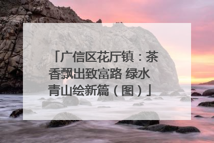 广信区花厅镇：茶香飘出致富路 绿水青山绘新篇（图）