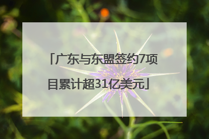 广东与东盟签约7项目累计超31亿美元