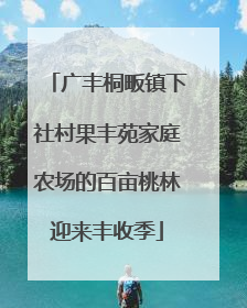 广丰桐畈镇下社村果丰苑家庭农场的百亩桃林迎来丰收季