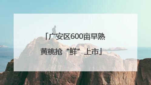 广安区600亩早熟黄桃抢“鲜”上市