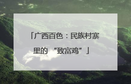 广西百色：民族村寨里的 “致富鸡”