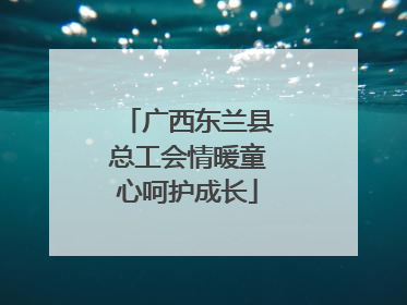 广西东兰县总工会情暖童心呵护成长