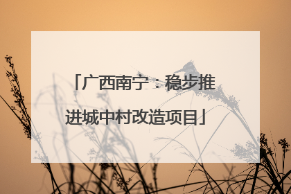 广西南宁：稳步推进城中村改造项目