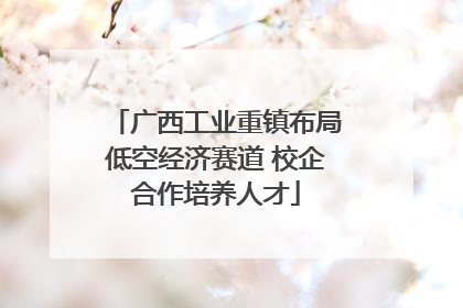 广西工业重镇布局低空经济赛道 校企合作培养人才