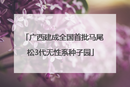 广西建成全国首批马尾松3代无性系种子园