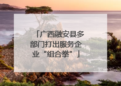 广西融安县多部门打出服务企业“组合拳”