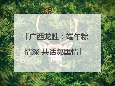 广西龙胜：端午粽情深 共话邻里情