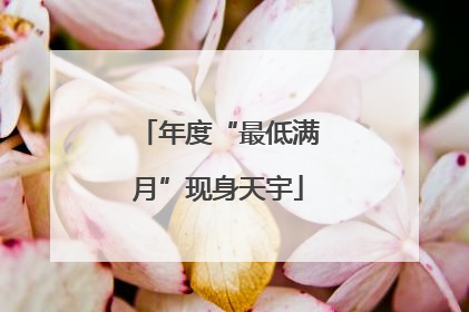 年度“最低满月”现身天宇