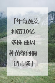 年育蔬菜种苗10亿多株 曲周种苗缘何俏销市场